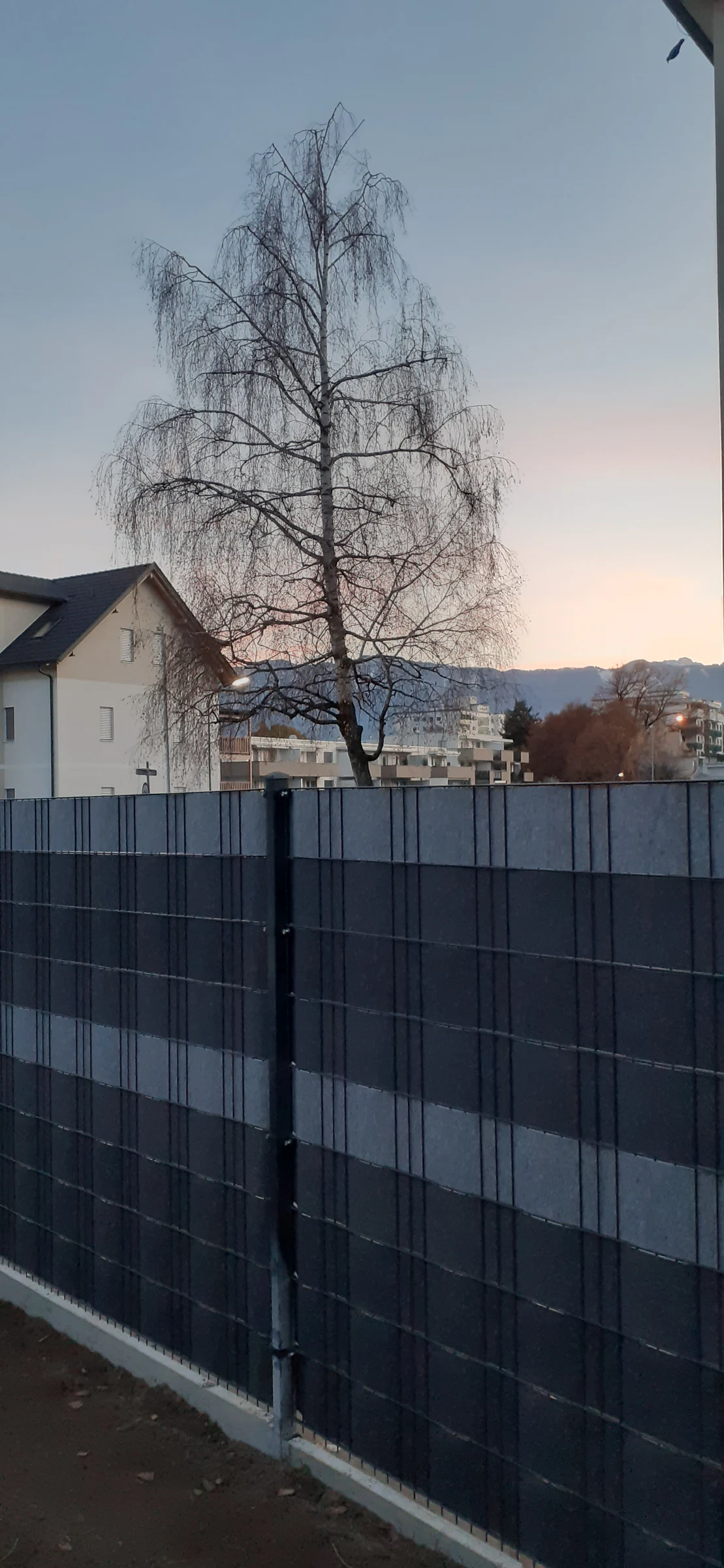 Sichtschutz – realisiertes Projekt
